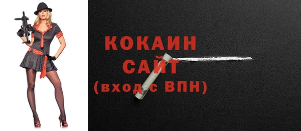 кокс Белокуриха