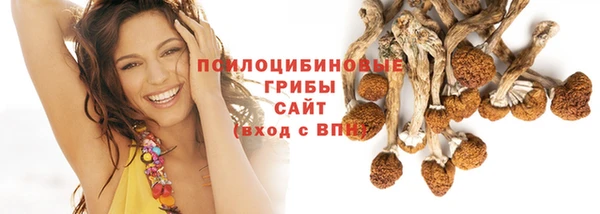 кокс Белокуриха