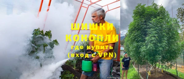 кокс Белокуриха