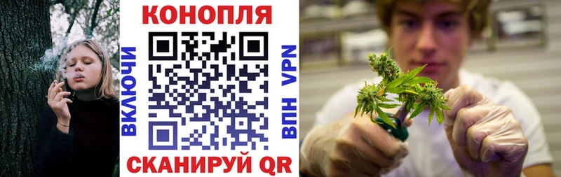 blacksprut ссылка  Лыткарино  Канабис SATIVA & INDICA  купить наркотик 